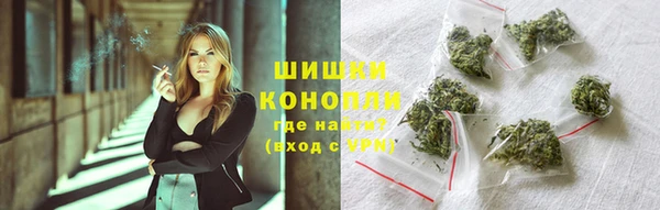 сатива Арсеньев