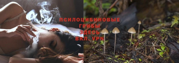 ПСИЛОЦИБИНОВЫЕ ГРИБЫ Армянск