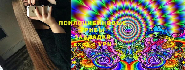 ПСИЛОЦИБИНОВЫЕ ГРИБЫ Армянск