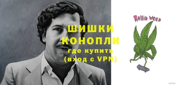 сатива Арсеньев