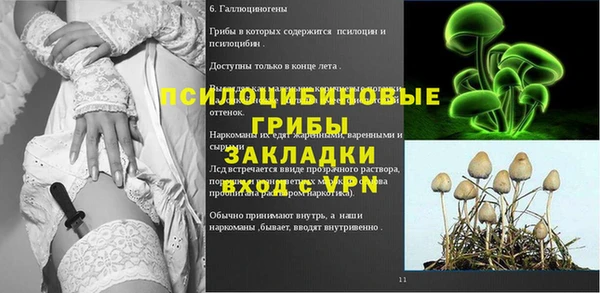 сатива Арсеньев