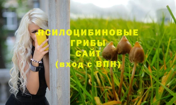 сатива Арсеньев