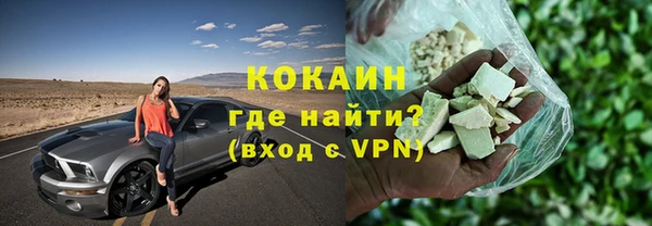 сатива Арсеньев