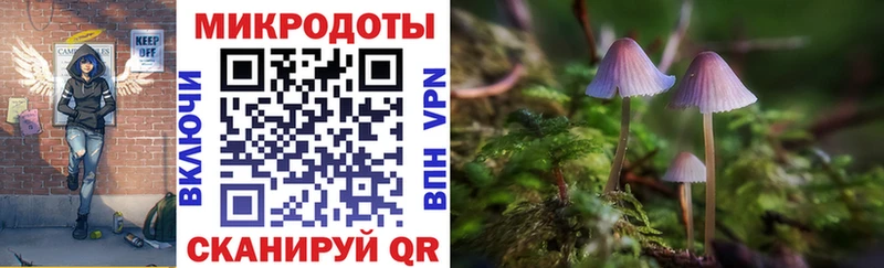 Псилоцибиновые грибы прущие грибы  хочу наркоту  Шуя 