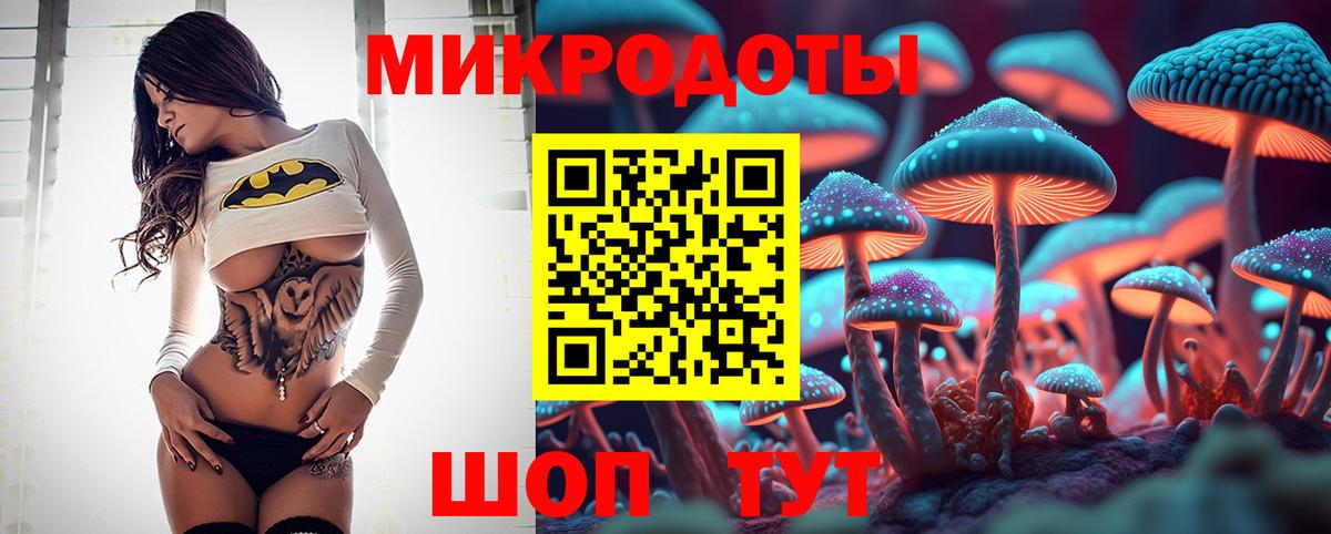 Псилоцибиновые грибы Cubensis Шуя